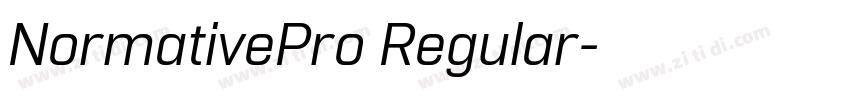 NormativePro Regular字体转换
